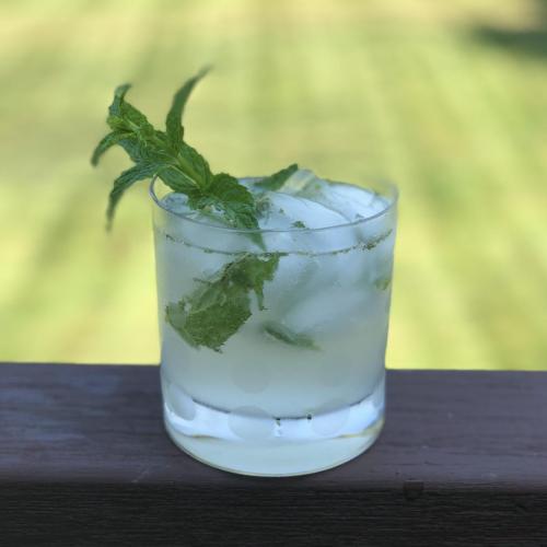 Skinny Mojito with Fresh Mint
