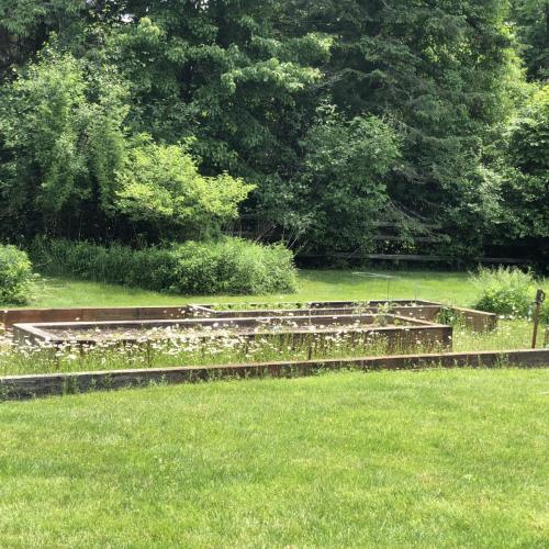 Wildflower Garden View