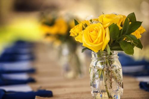 cropped-Yellow-Flowers-copy.jpg