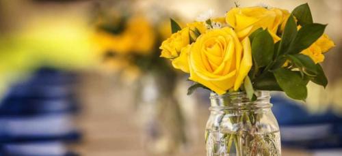 cropped-cropped-Yellow-Flowers.jpg